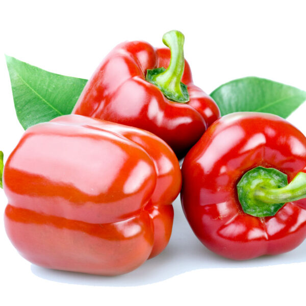 Fresh Red Bell Pepper – Full Box